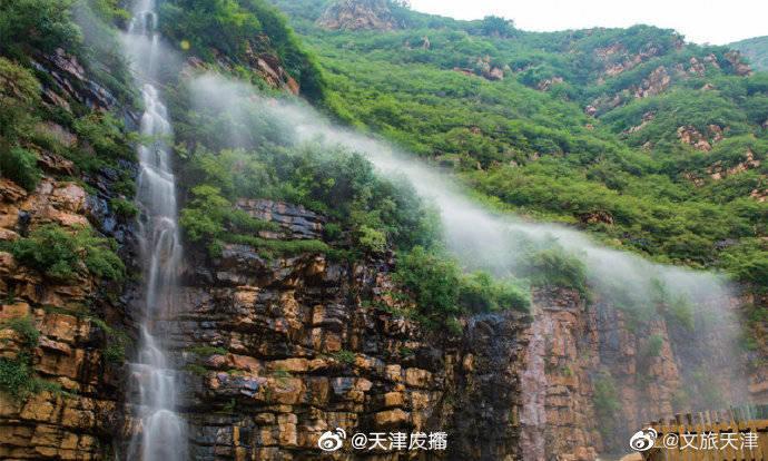 关于印发建立财政资助科研项目形成专利的声明制度实施方案的通知